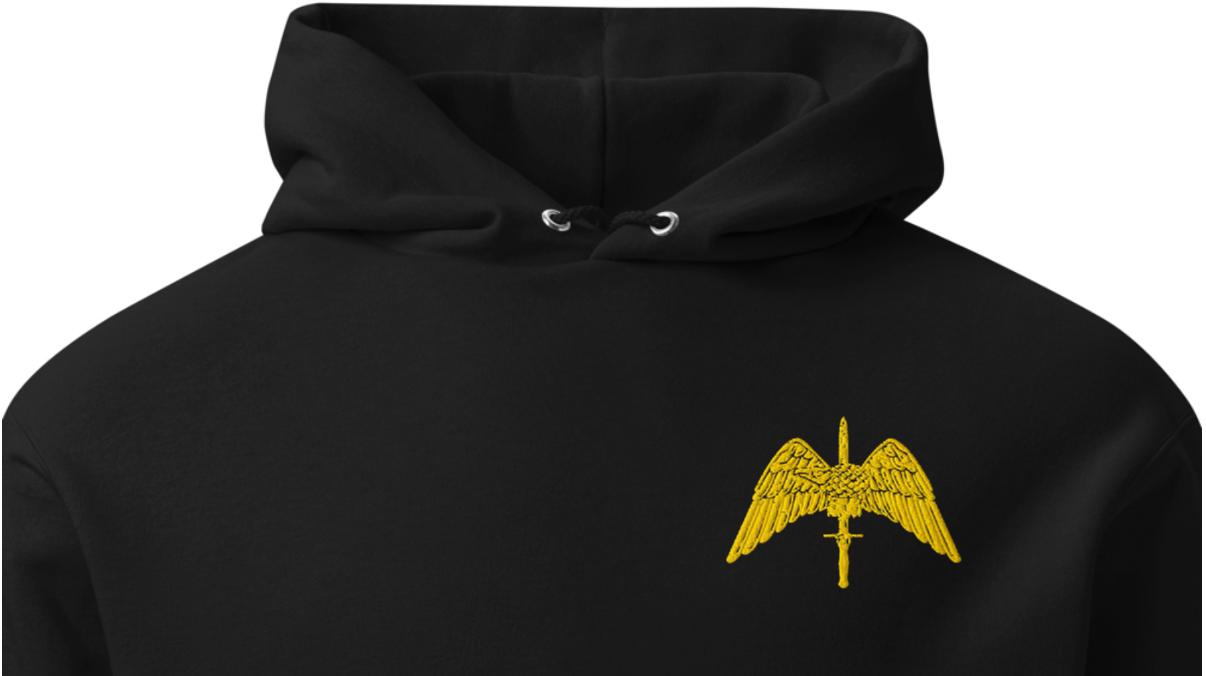 RAID hoodie